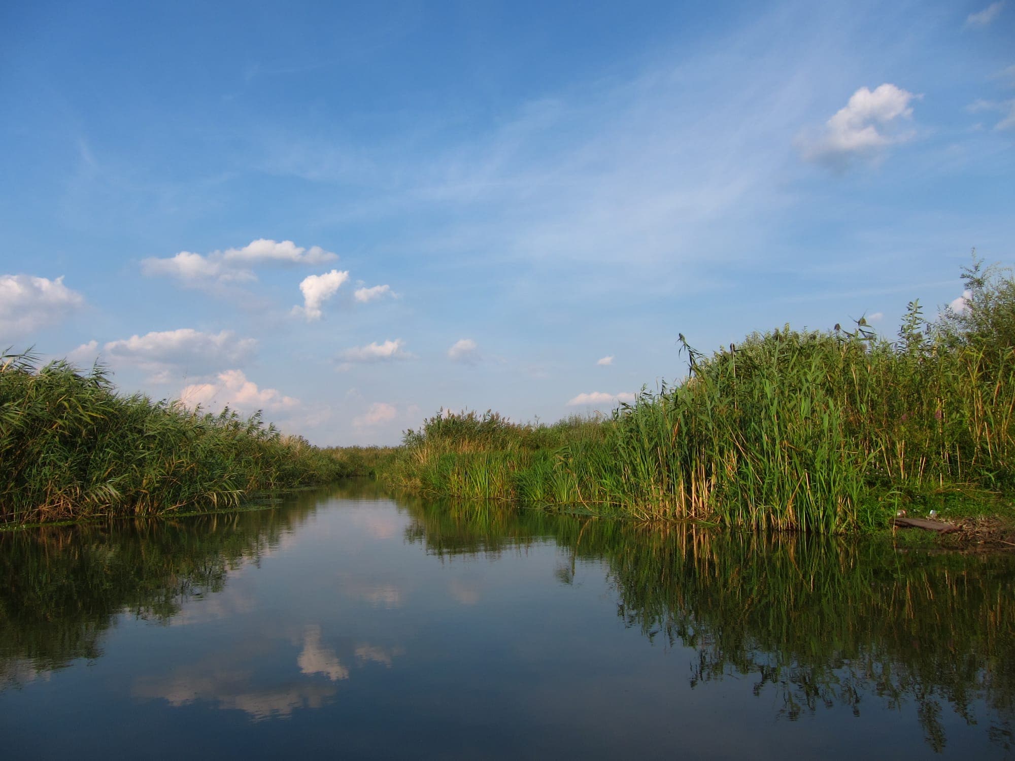 Canal liniștit între maluri de stuf verde, cu cerul albastru și norii albi oglindiți în apă